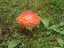 photo thumbnail #11