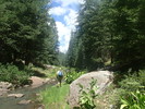 photo thumbnail #12