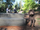 photo thumbnail #6