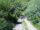 photo thumbnail #12