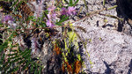 photo thumbnail #15