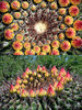 Featured Detail Photo