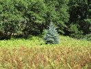photo thumbnail #4