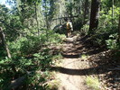 photo thumbnail #5