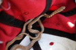 photo thumbnail #3