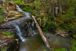 photo thumbnail #3