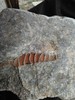 photo thumbnail #6
