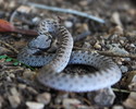 photo thumbnail #2