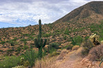 photo thumbnail #2