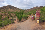 photo thumbnail #3