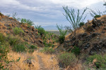 photo thumbnail #4