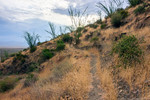 photo thumbnail #5