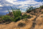 photo thumbnail #7