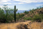 photo thumbnail #8