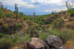 photo thumbnail #9