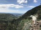 photo thumbnail #1