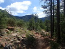 photo thumbnail #5