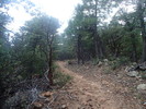 photo thumbnail #6