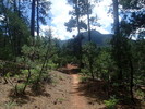 photo thumbnail #9