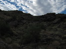 photo thumbnail #10