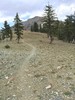 photo thumbnail #8