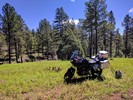 photo thumbnail #1