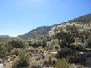 photo thumbnail #4