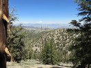 photo thumbnail #4