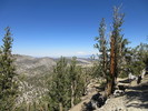 photo thumbnail #7