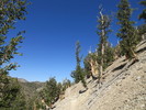 photo thumbnail #10