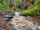 photo thumbnail #6