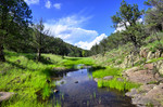 photo thumbnail #9
