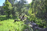 photo thumbnail #10