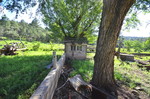 photo thumbnail #11
