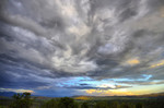 photo thumbnail #14