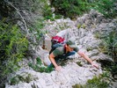 photo thumbnail #5