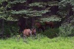 photo thumbnail #15
