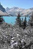 photo thumbnail #1