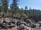 photo thumbnail #4