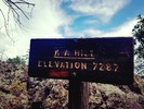 photo thumbnail #11