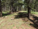 photo thumbnail #6