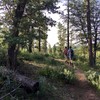 photo thumbnail #1