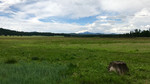 photo thumbnail #9