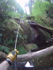 photo thumbnail #12