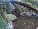 photo thumbnail #14