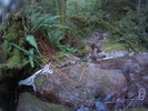 photo thumbnail #15