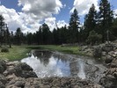 photo thumbnail #6