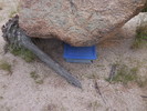 photo thumbnail #5