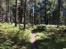 photo thumbnail #13