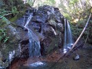 photo thumbnail #8